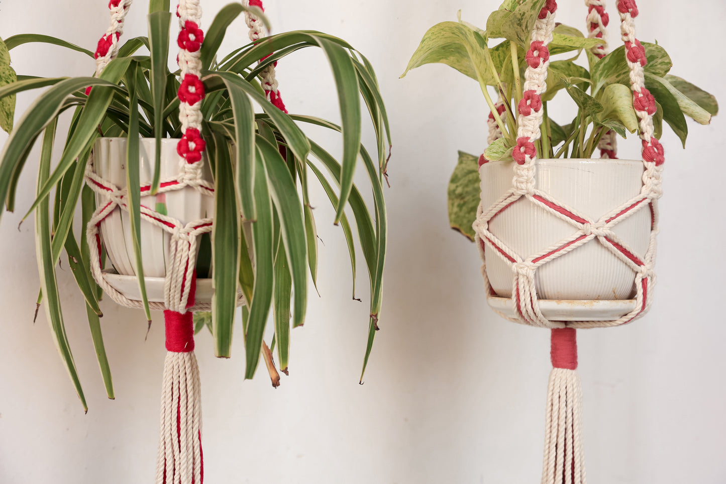 Floral Rust Macrame Plant Hanger | Handcrafted Boho Planter
