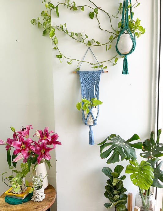 Macrame Wall Planter