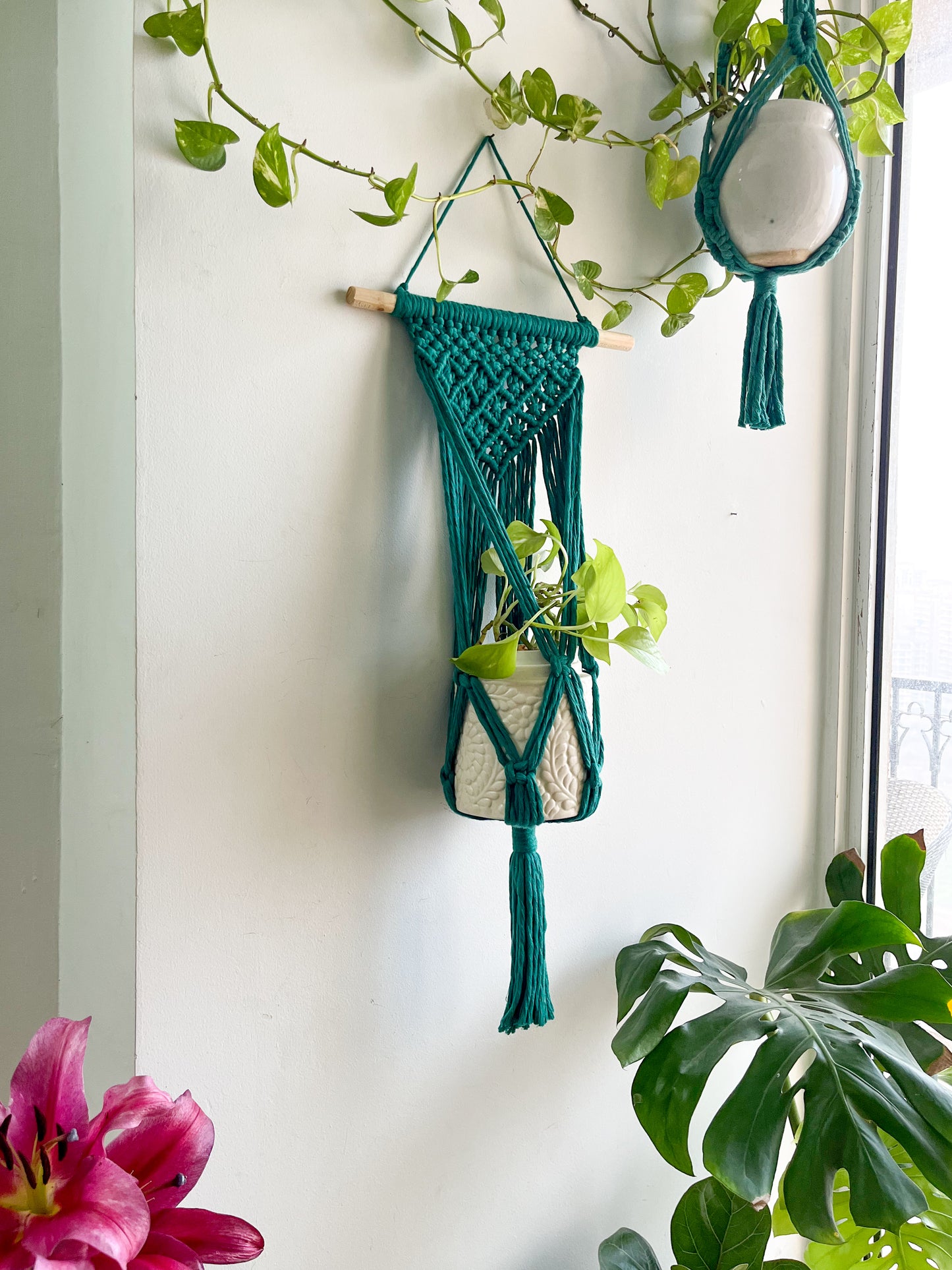 Macrame Wall Planter