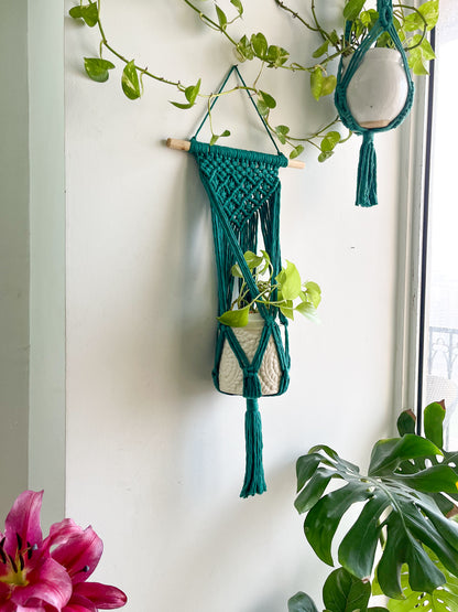 Macrame Wall Planter