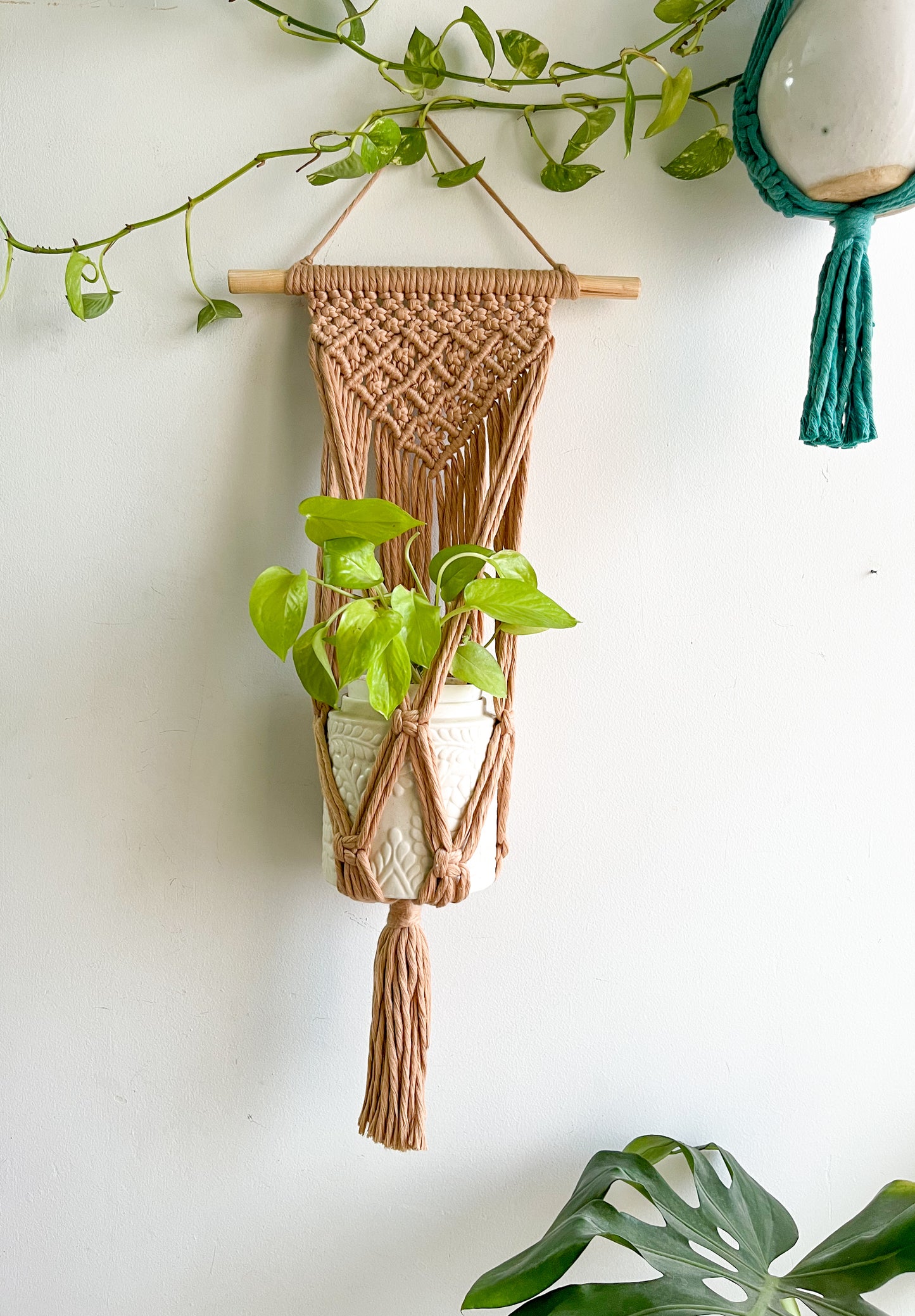 Macrame Wall Planter