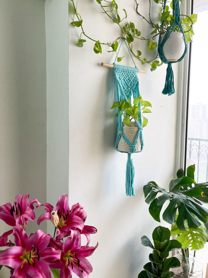 Macrame Wall Planter