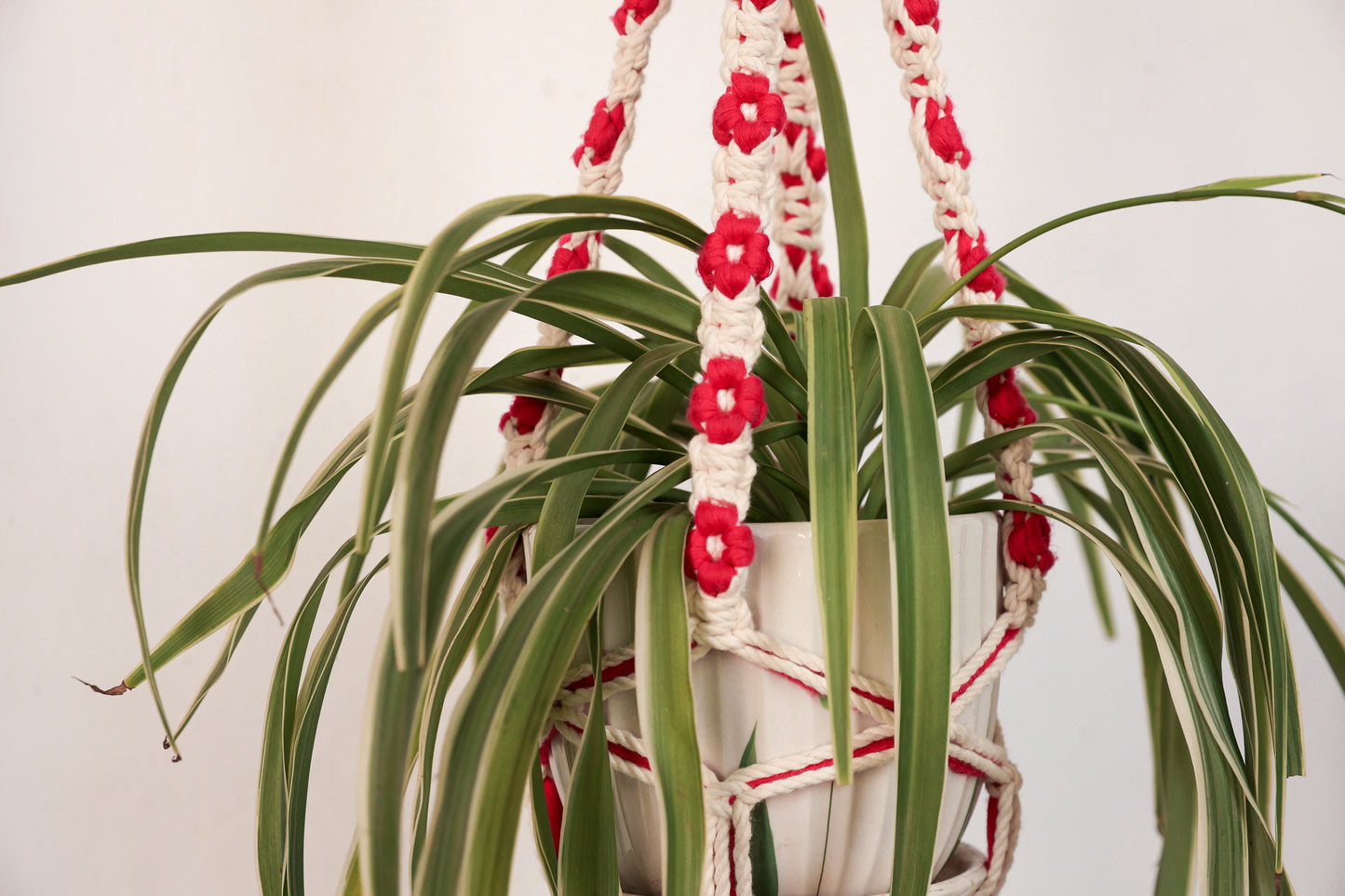 Floral Rust Macrame Plant Hanger | Handcrafted Boho Planter