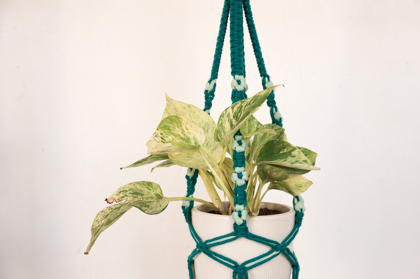Floral Rust Macrame Plant Hanger | Handcrafted Boho Planter