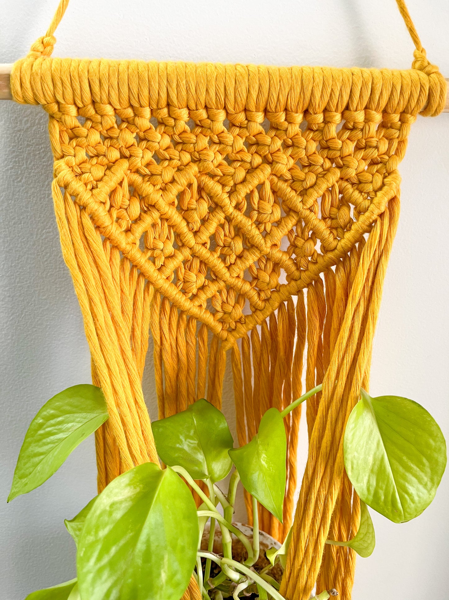 Macrame Wall Planter