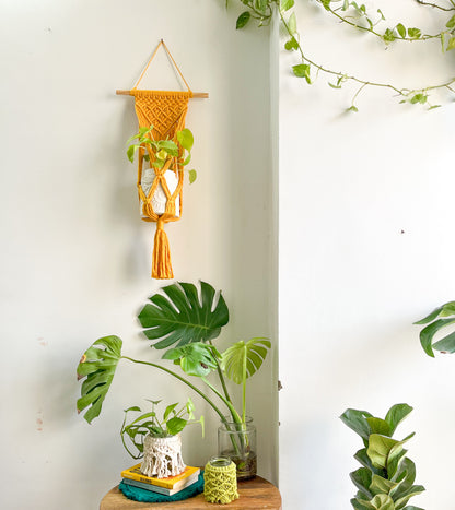 Macrame Wall Planter